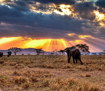 Serengeti-Plains.jpg