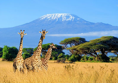 Mount-Kilimanjaro-National-Park-view-from-Kenya-3.jpg