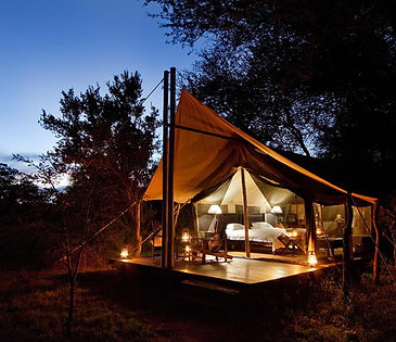 rhino-walking-safaris-plains-camp-tent-at-night-590x390.jpg