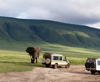Safari scene in the Ngorongoro Crater during Tanzania wildlife safari holidays