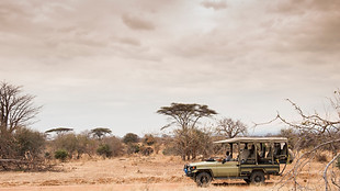 Feature-Tours-and-Safaris-to-Ruaha-National-Park-Tanzania-Guided-Safari-Game-Drive.jpg