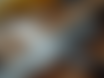 How Professional Chefs Choose Custom Kitchen Knives