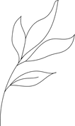 vector