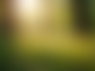 Coaching für hochsensible Fachkräfte – wie du deine Sensibilität im Beruf wirklich als Stärke nutzen kannst