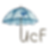 UMBRELLA CARE FOUNDATION (1).png