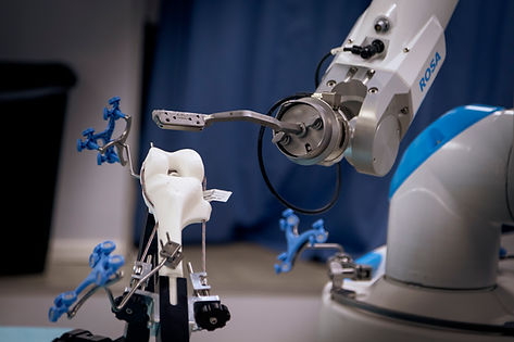 robot ROSA