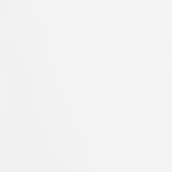 🌿페스티벌나다2024 아티스트소개🌿 최노아 작가