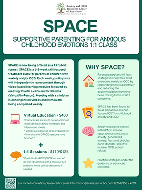 Individual SPACE (1).png