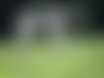 Alexa, play 'Kids' by MGMT