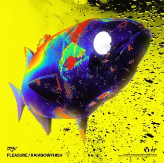 Moore Kismet - PLEASURE
