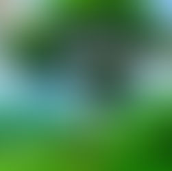 .Uzu - take it slow.