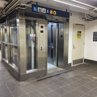 Sixteen in Service: EL 245 at Lexington Avenue–53rd Street