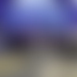 International Volunteer Day