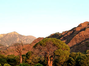 Ein magischer Ort in der Türkei, den ihr im Herbst erleben solltet