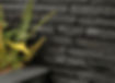 wall 8