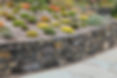 Basalt-Retaining-Wall-with-heather