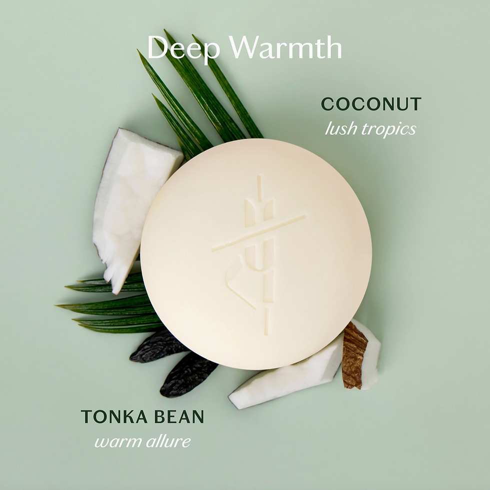 Thumbnail: Lotion Stone Tonka Bean & Coconut| Kate Mcleod