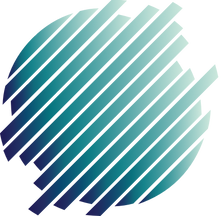 mp-ecommerce(websitepng).png