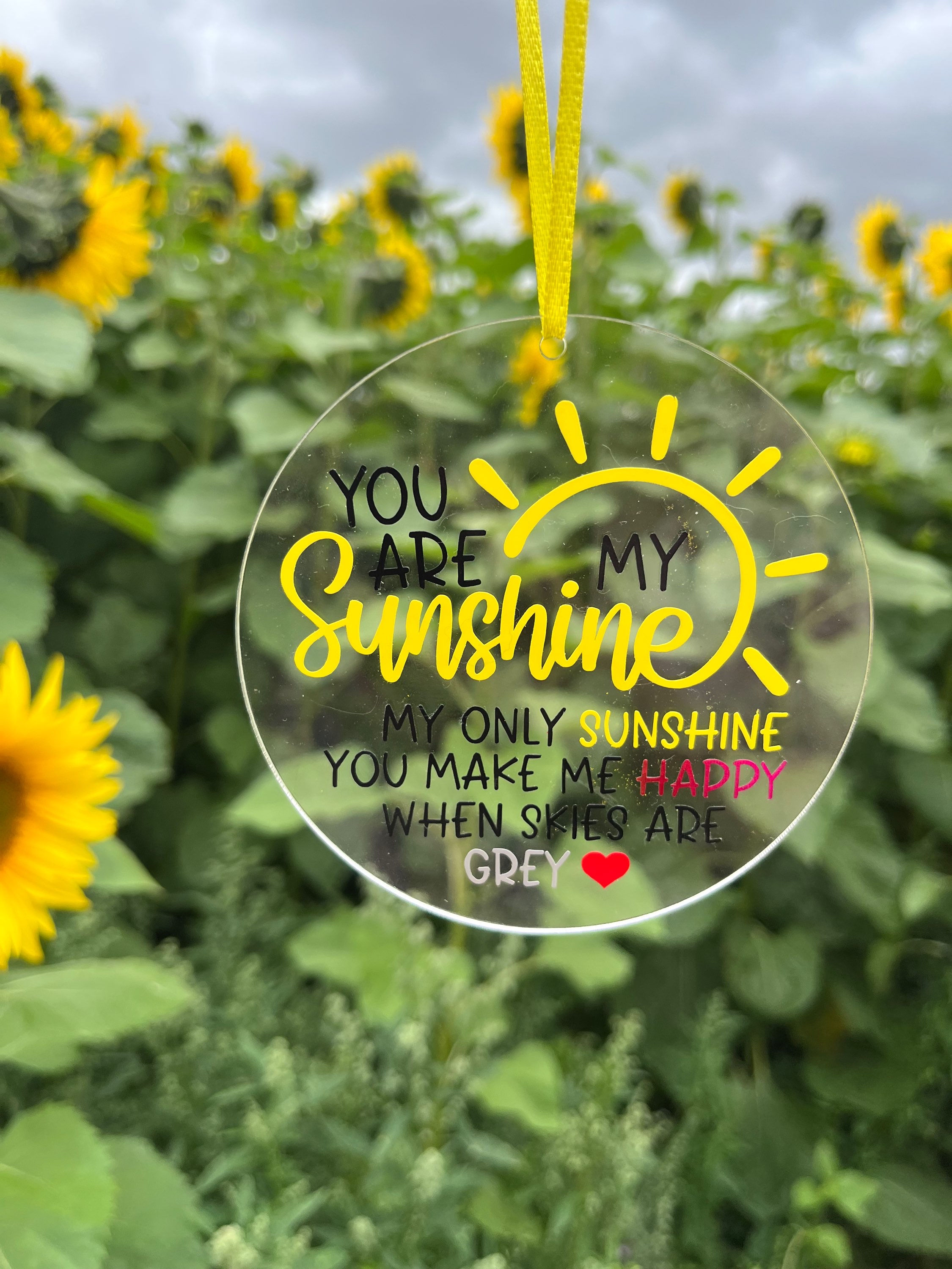 You are my Sunshine Decoration