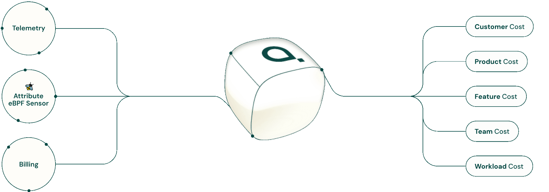 Attribute-Website-2025-Fluxogram-Motion-JSON-2-1 (1).gif