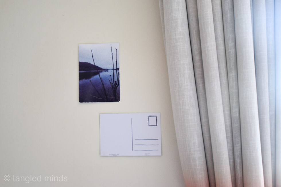 섬네일: THE LAKE TREE postcard
