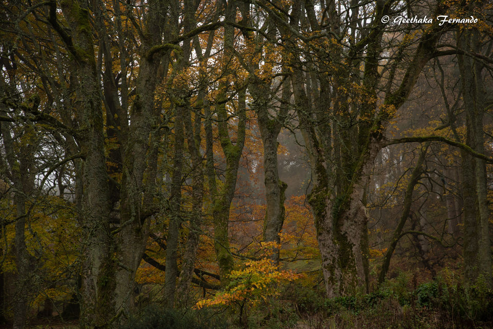 DSC_3337.jpg