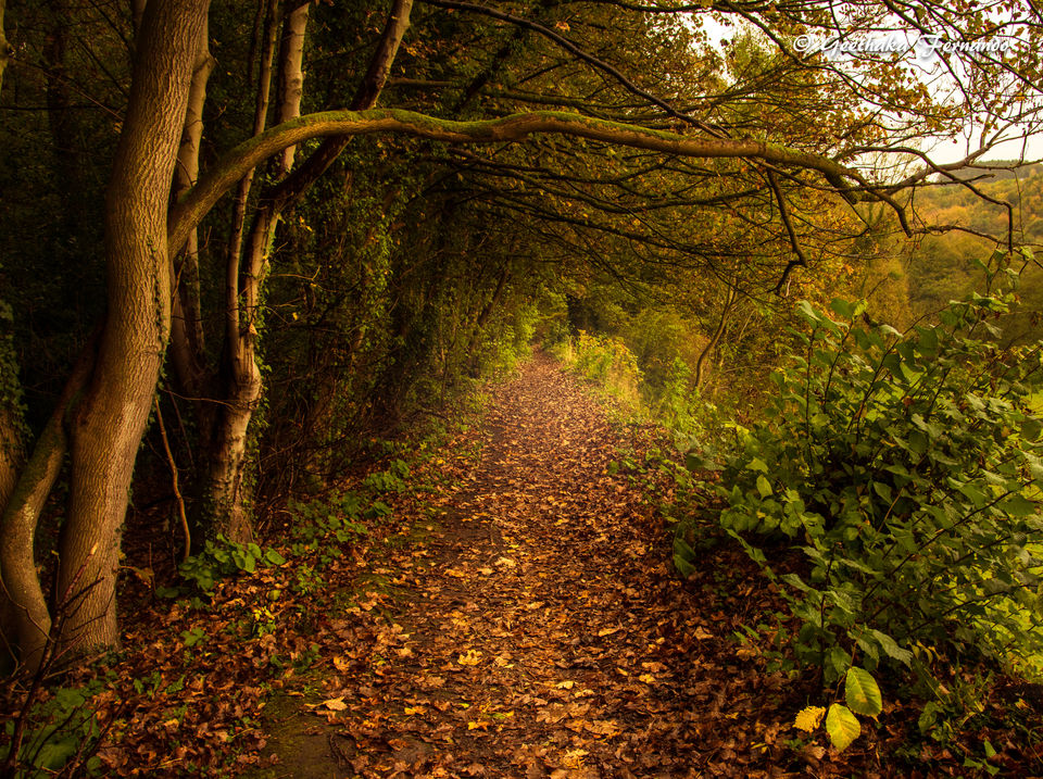 DSC_2975-2.jpg