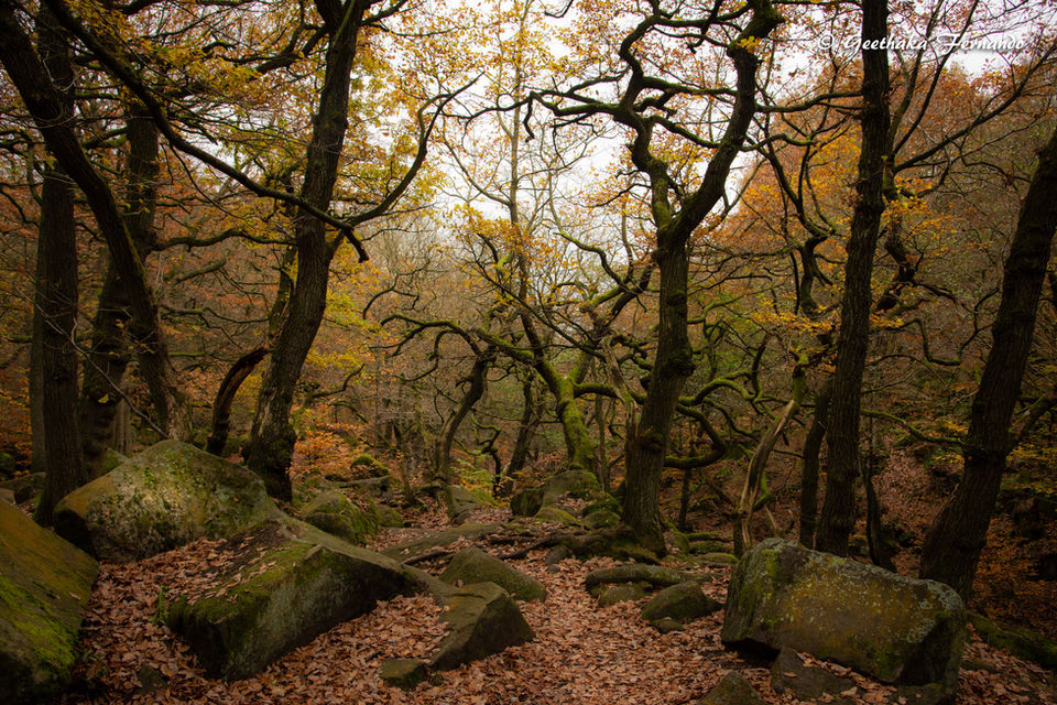 DSC_3186.jpg