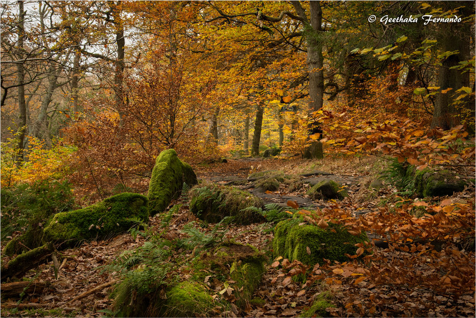 DSC_3286-Edit.jpg
