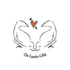 WATERMARK_Birds01_IF (w. text).png