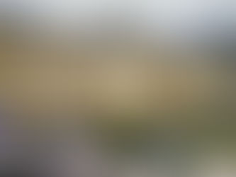 平成17年度 少子化社会対策に関する先進的取組事例研究報告書(HTML版)目次