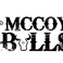 McCoy BULLS logo.png
