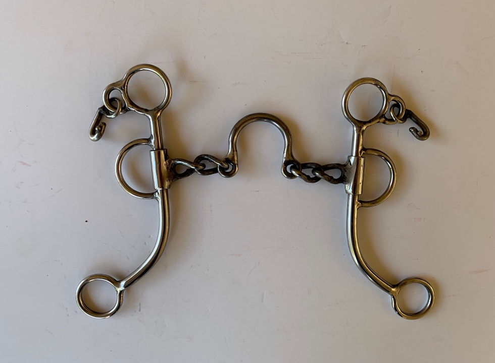 Barrel Racing Bits Slash W Ranch