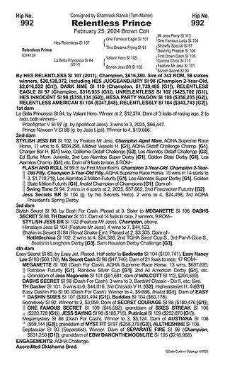HP25YLG Horse pages 992.jpg
