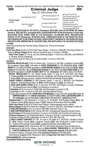 HP25YLG Horse pages 509.png
