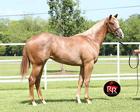 Consignments | Robicheaux Ranch