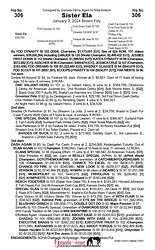 RUI25 Select Horse Pages 306.png