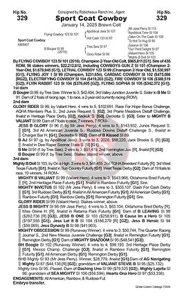 RUI26SEL-Horse Pages 329 copy.jpg