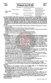 HP26WMX-HorsePages 381 copy.png