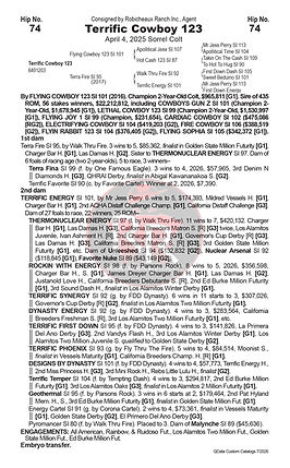 RUI26SEL-Horse Pages 74 copy.jpg