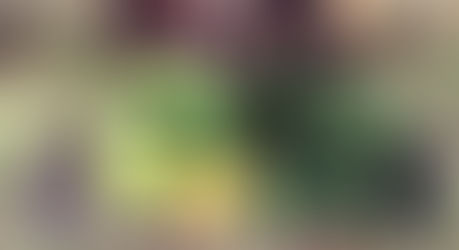 Green Juice nº 4
