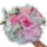 7d2e16c2-0608-4676-93f1-04d4d0bc1ba6.webp