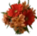 bud vase orange floral arrangement flower delivery