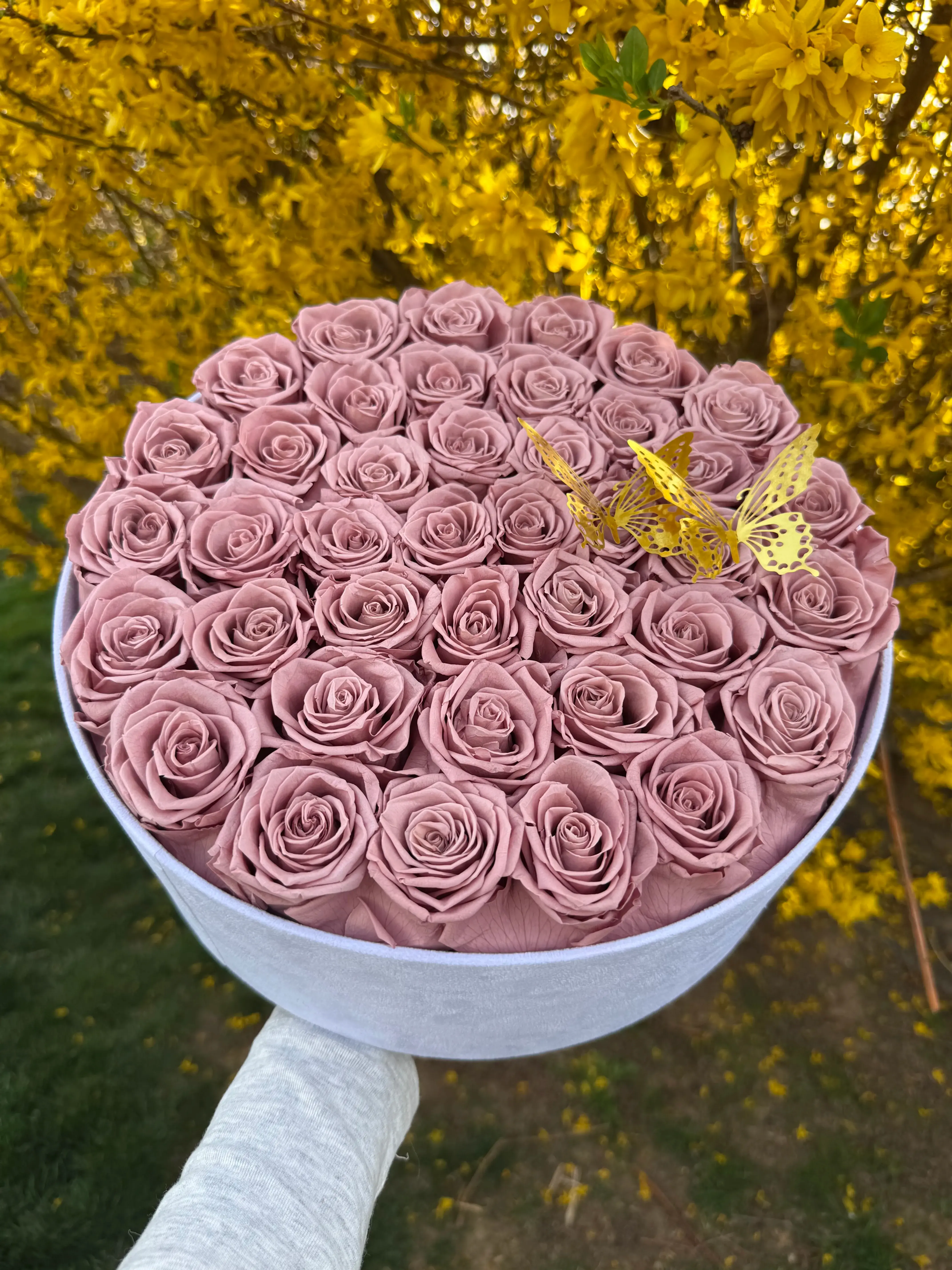 Luxury Real Rose Preserved Eternity Gift Box - Pink Mauve 🎀✨
