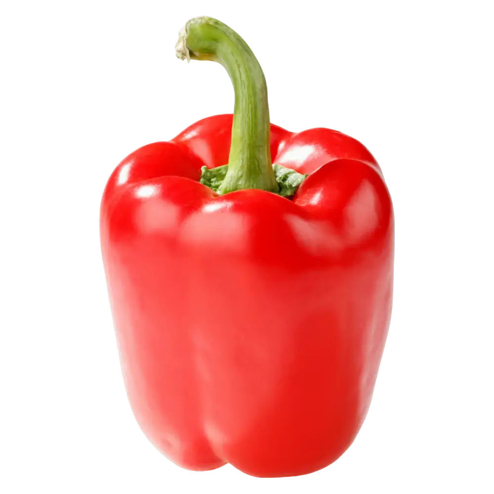 Fresh Red Bell Pepper 1ct