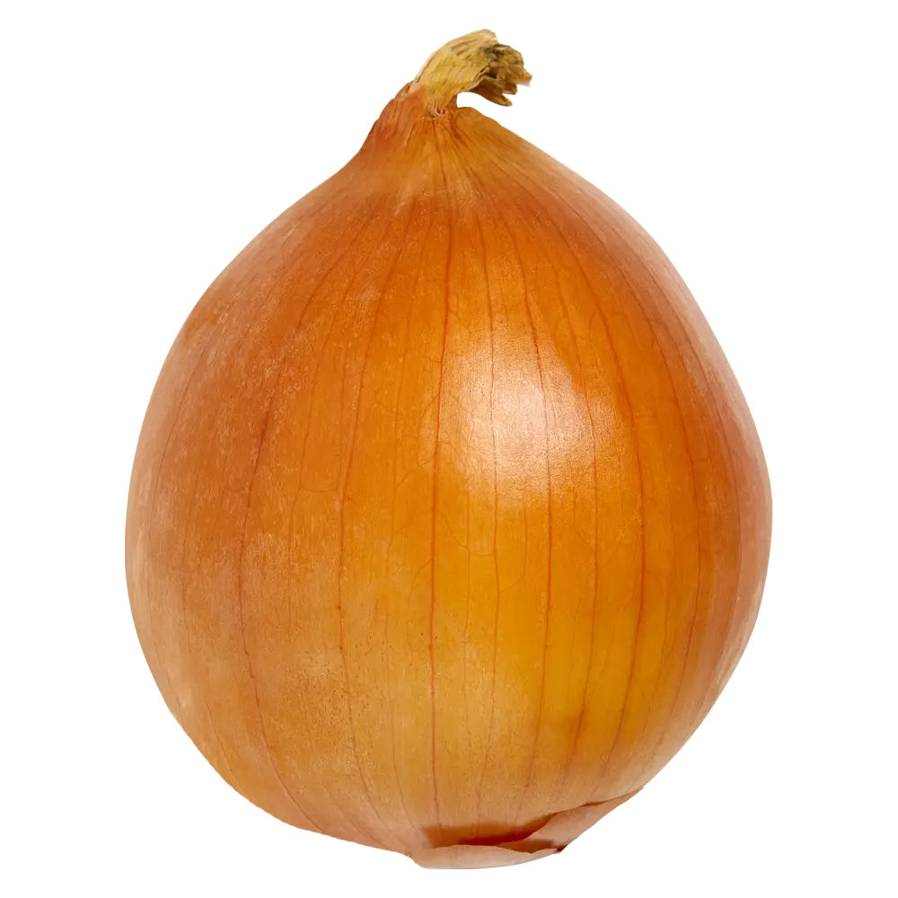  Fresh Onion 1ct