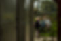 LR WEB Vaderland 2023 september-101.jpg