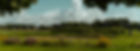 tuinderij banner.jpg
