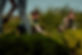 LR WEB Vaderland 2023 september-17.jpg