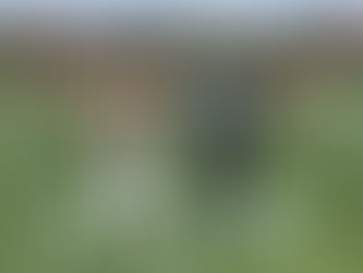 SVC celebrates unprecedented spring Homecoming